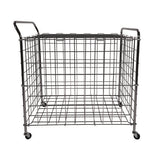Portable Lockable Ball Locker, Metal, 176 Lb Capacity, 24 X 39 X 40, Chrome