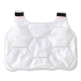 Chill-its 6220 Phase Change Cooling Vest Charge Packs, Small/medium, 12 X 16.25, Ships In 1-3 Business Days