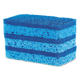 All Surface Scrubber Sponge, 2 1-2 X 4 1-2, 0.9" Thick, Blue, 3-pack, 8 Packs-ct