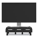 Perch Monitor Stand And Desk Organizer, 13.46" X 12.87" X 2.72", Black/silver