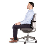 I-spire Series Lumbar Cushion, 14 X 3 X 6, Gray-black