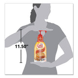 Liquid Coffee Creamer, Hazelnut, 1.5 Liter Pump Bottle, 2-carton
