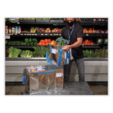 Fresh Eco Freeze Tote, 13.5 X 9 X 13, Silver-blue, 4-carton