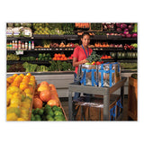 Fresh Eco Freeze Tote, 13.5 X 9 X 13, Silver-blue, 4-carton