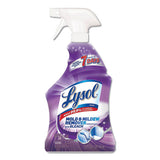 Mold And Mildew Remover With Bleach, Ready To Use, 32 Oz Spray Bottle