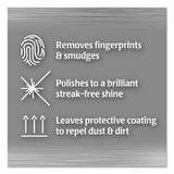 Stainless Steel Cleaner And Polish, 17 Oz Aerosol, 6-carton