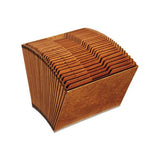 Heavy-duty Expanding File, 31 Sections, 1-3-cut Tab, Letter Size, Redrope