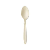 Reliance Medium Heavy Weight Cutlery, Teaspoon, Champagne, 1000-carton